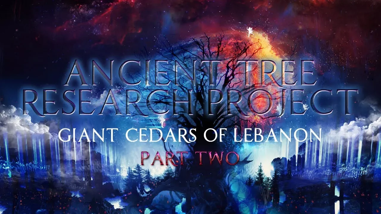 Ancient Tree Research Project | Giant Cedars of Lebanon Part 2 ▶️️