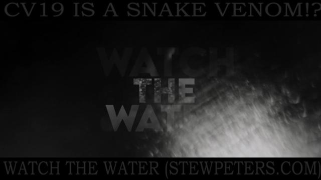 New Film Watch The Water: snake venom and CV19 - Must See!